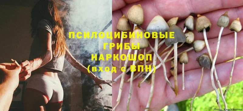 Псилоцибиновые грибы GOLDEN TEACHER  нарко площадка какой сайт  Ижевск  наркота 